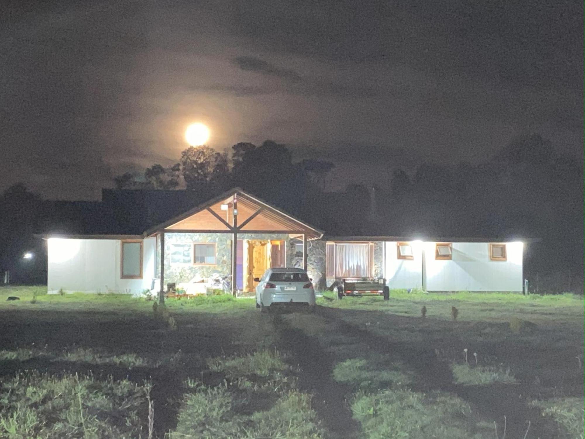 Comoda Parcela Entorno Natural Villarrica Dış mekan fotoğraf